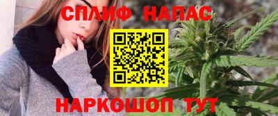 СК Рыбинск