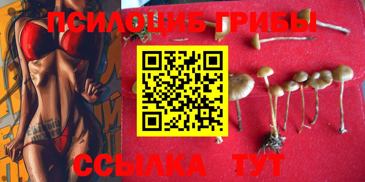 Аша  Псилоцибиновые грибы Psilocybine cubensis  Вход с VPN 