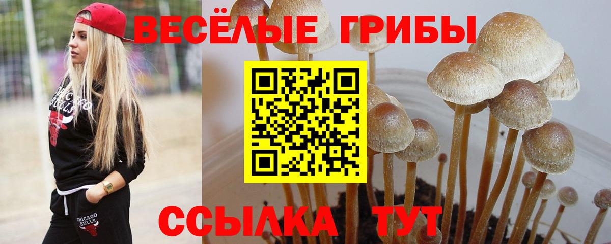 Псилоцибиновые грибы MAGIC MUSHROOMS Аша